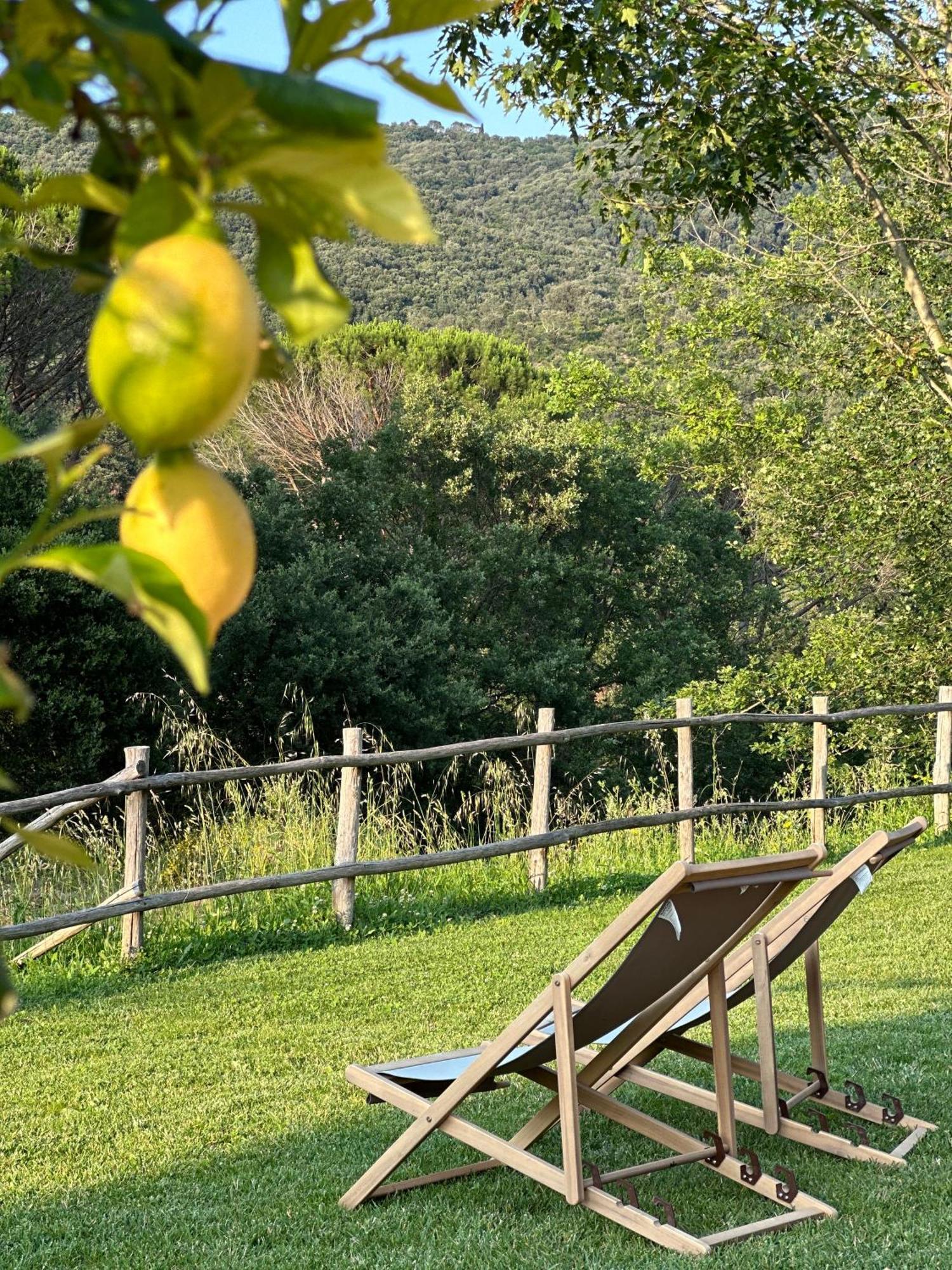 Gio Toscana Castiglione della Pescaia Luaran gambar