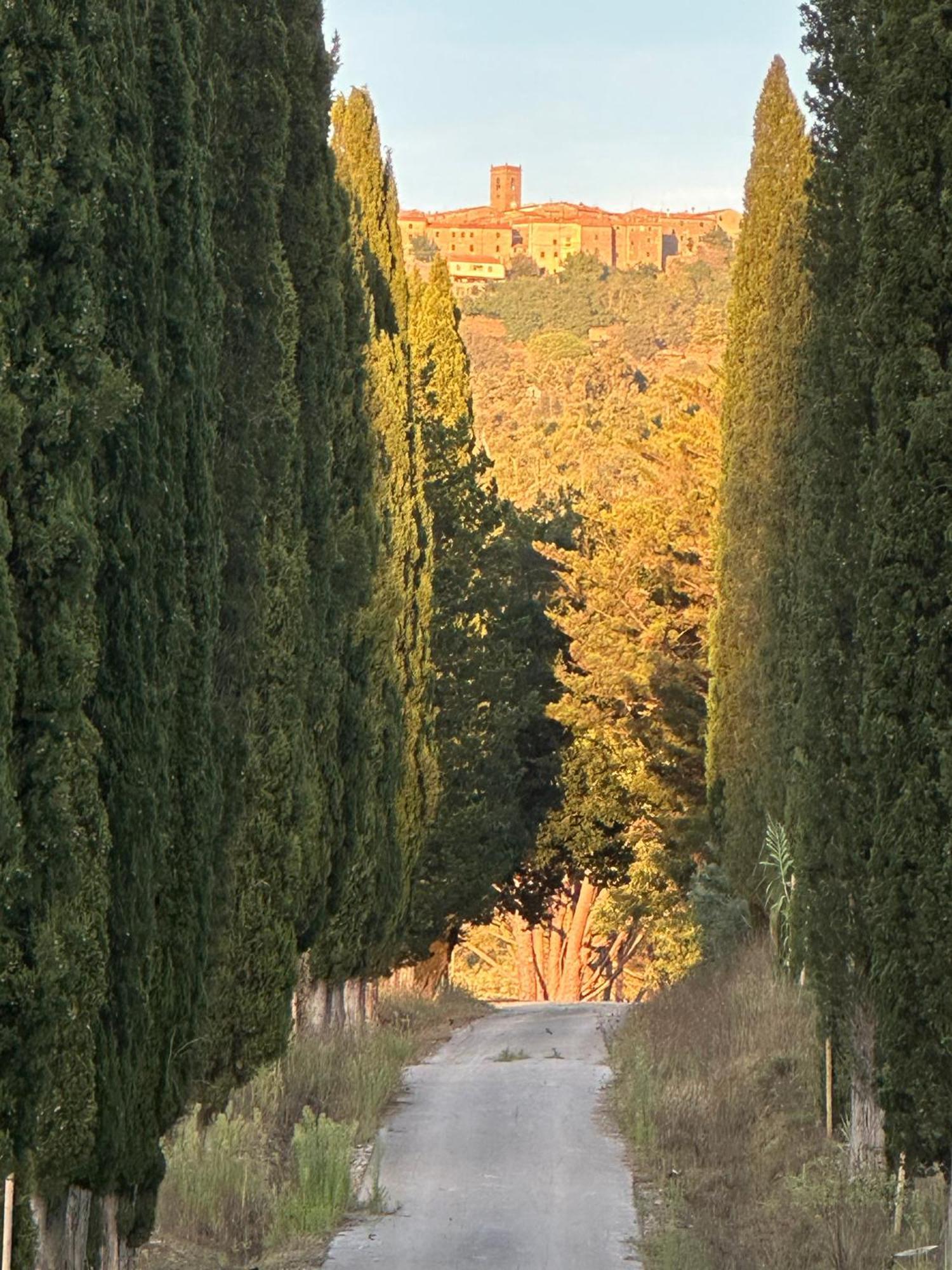 Gio Toscana Castiglione della Pescaia Luaran gambar