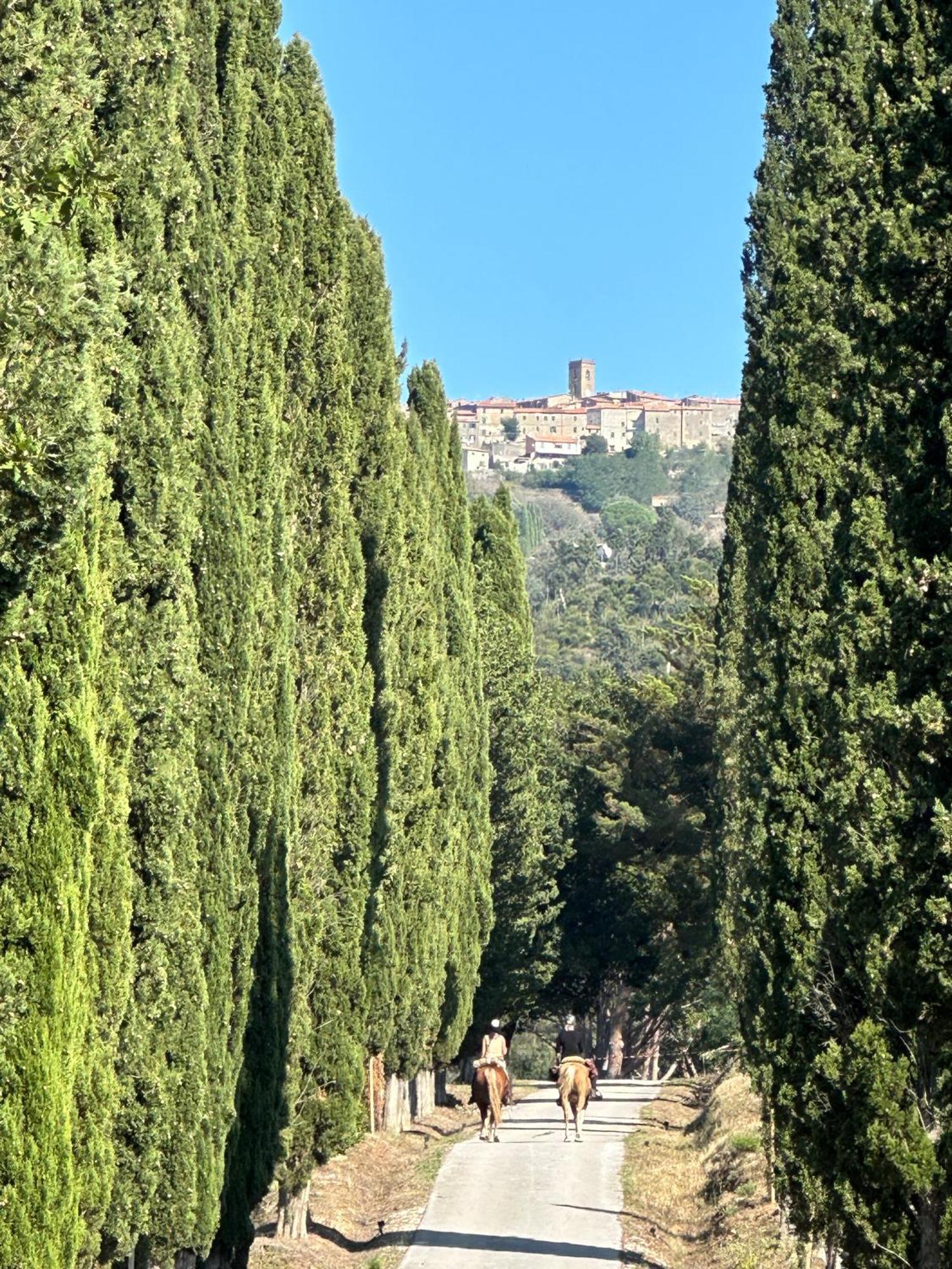 Gio Toscana Castiglione della Pescaia Luaran gambar