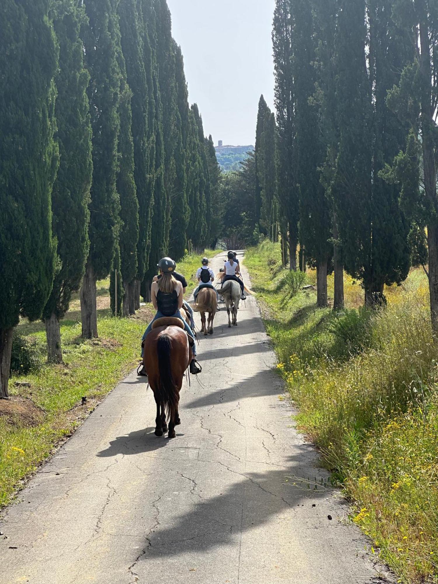 Gio Toscana Castiglione della Pescaia Luaran gambar
